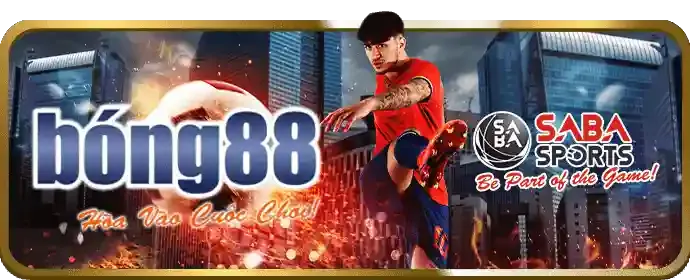 Hình ảnh cá cược thể thao vn8day